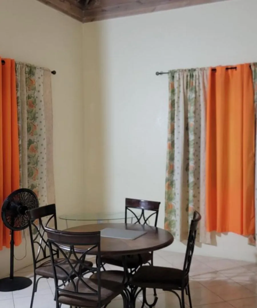 Wizzy Apartment White River Ocho Rios