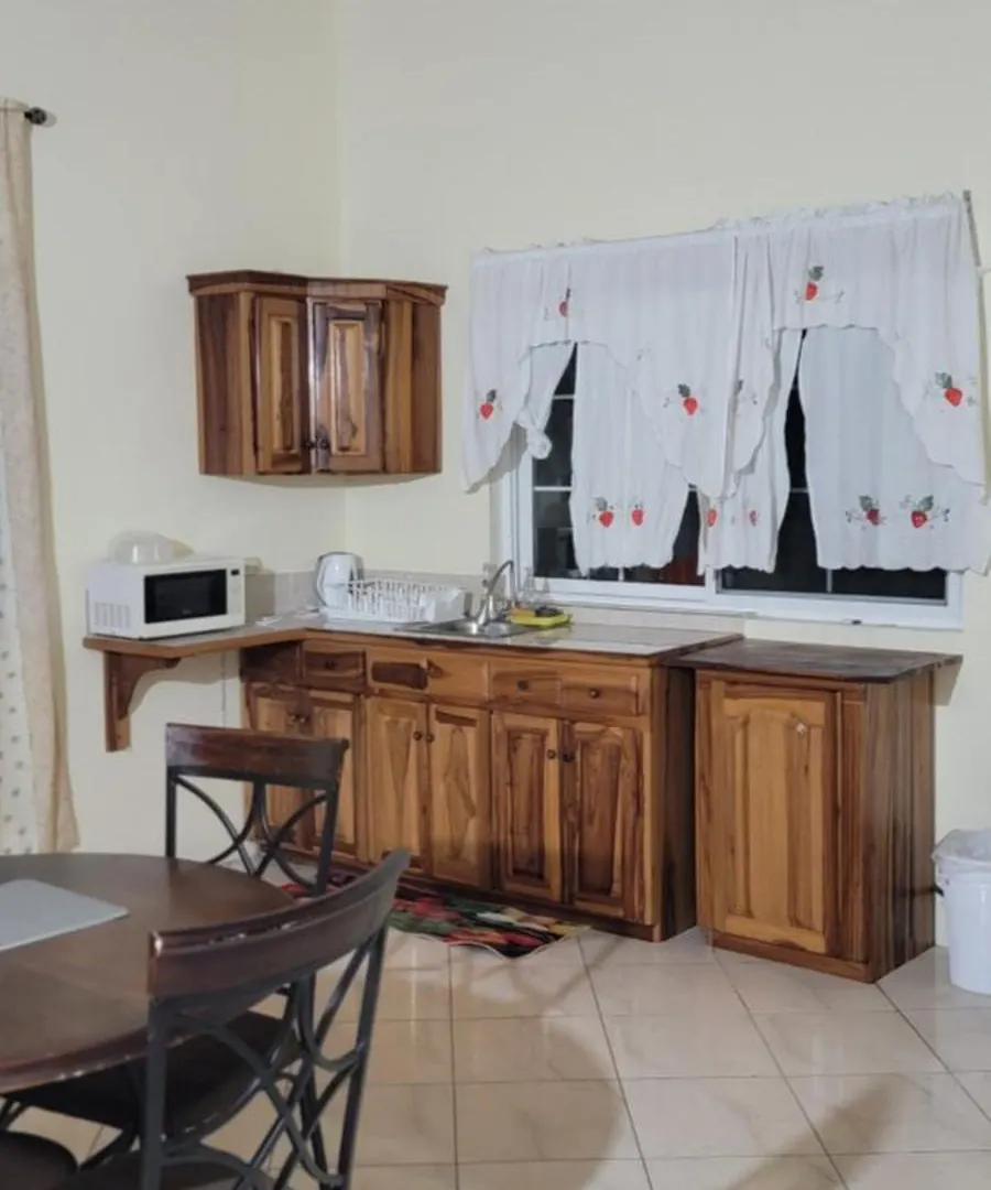 Wizzy Apartment White River Ocho Rios Jamaica