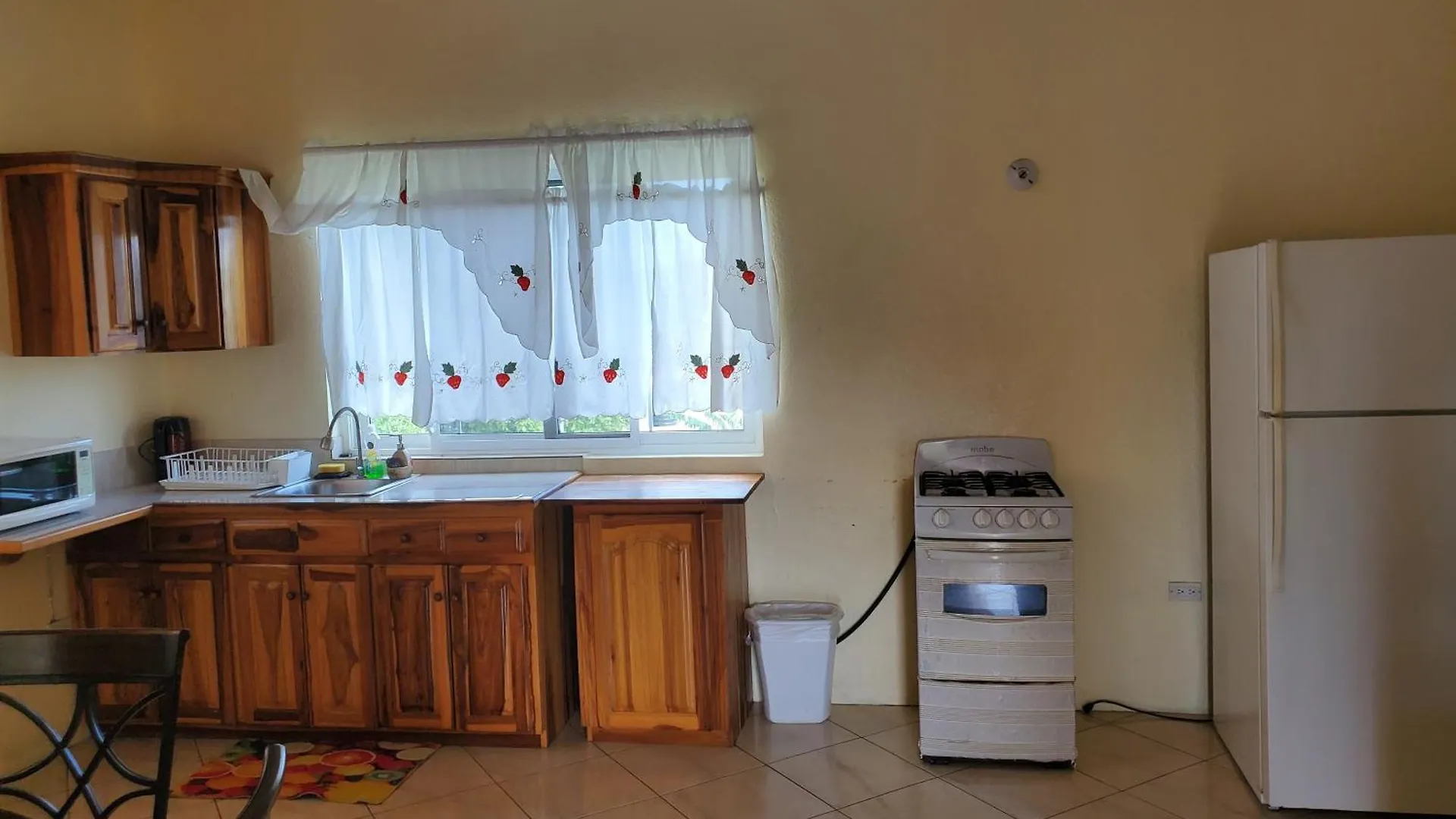 Wizzy Apartment White River Ocho Rios