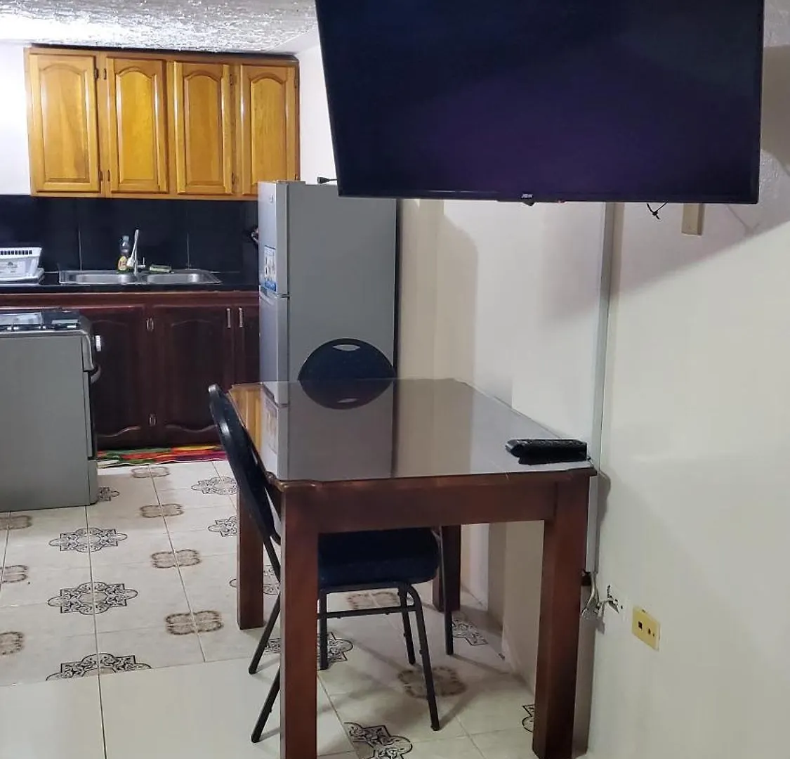 Wizzy Apartment White River Ocho Rios 0*,