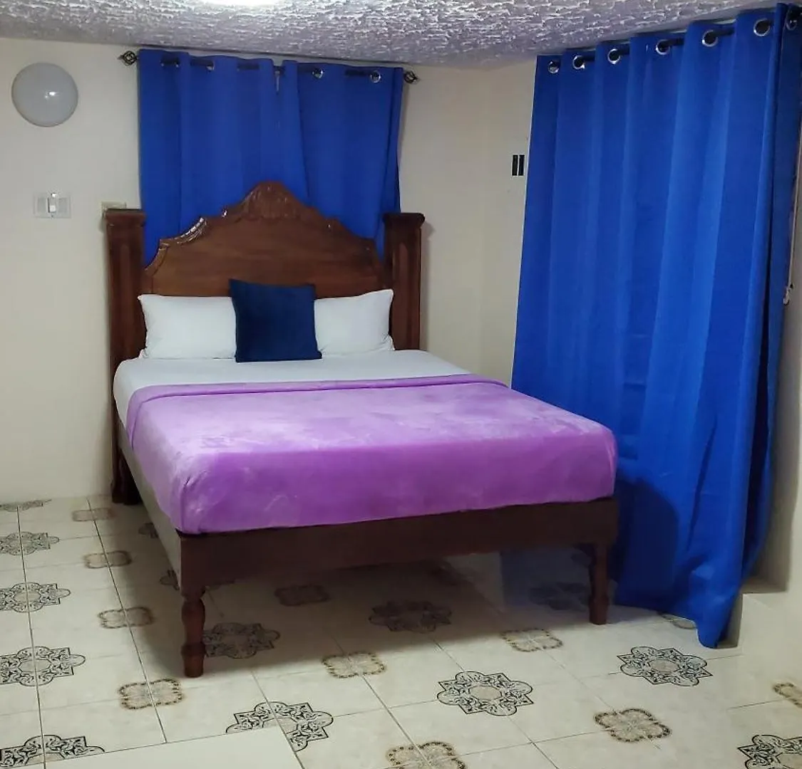 Wizzy Apartment White River Ocho Rios
