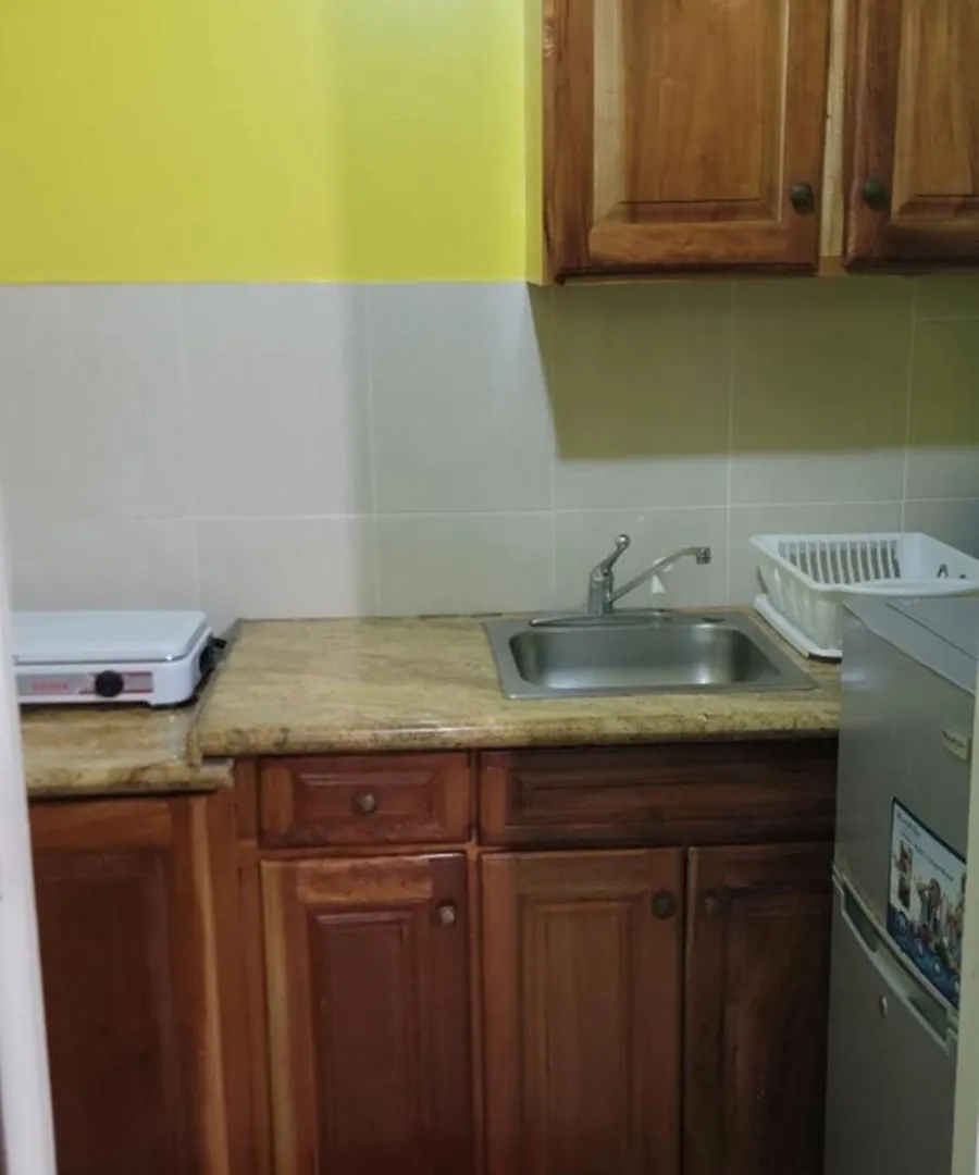 Wizzy Apartment White River Ocho Rios 0*,