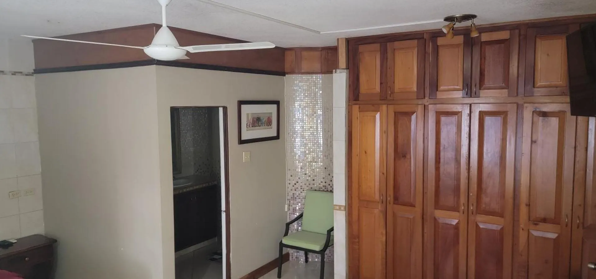 Wizzy Apartment White River Ocho Rios