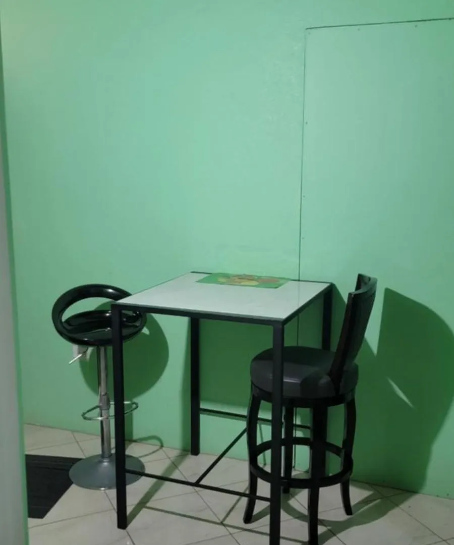 Wizzy Apartment White River Ocho Rios