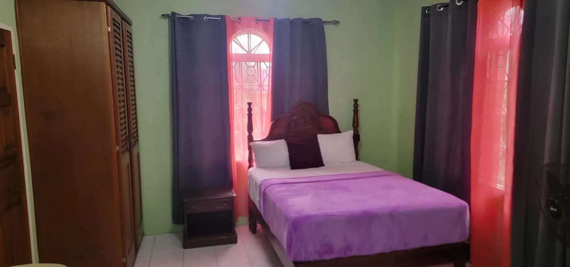 Wizzy Apartment White River Ocho Rios