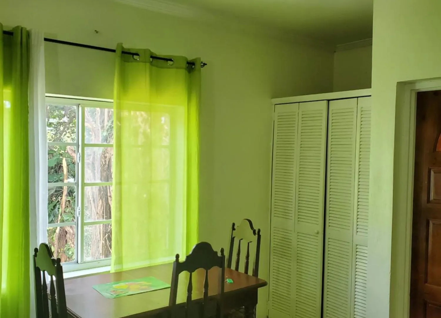 Wizzy Apartment White River Ocho Rios