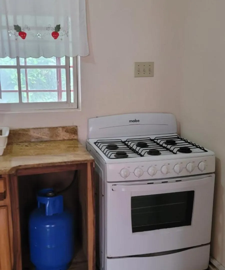 Wizzy Apartment White River Ocho Rios