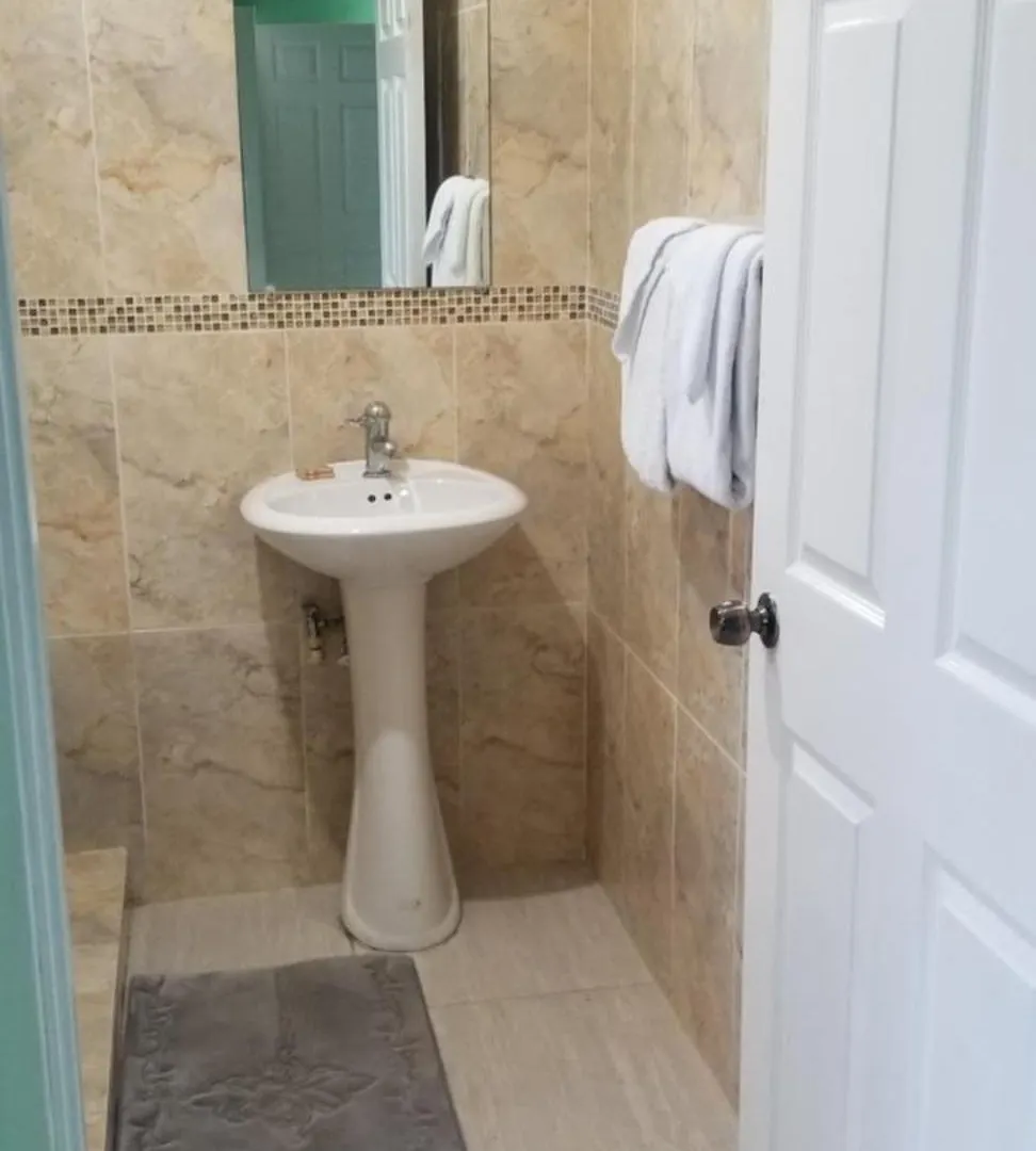 Wizzy Apartment White River Ocho Rios Jamaica