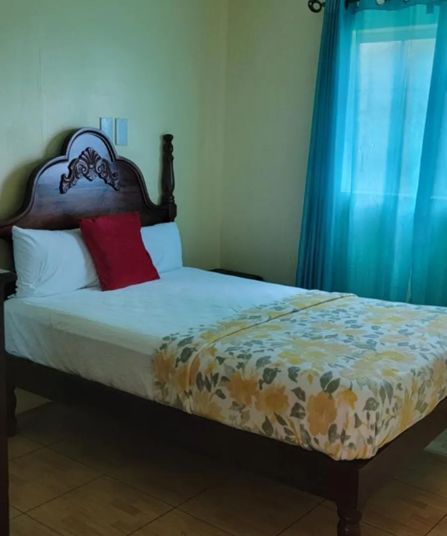 Wizzy Apartment White River Ocho Rios Jamaica