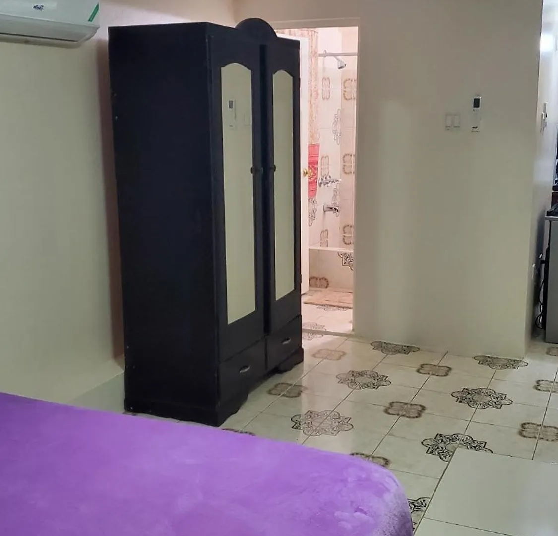 Wizzy Apartment White River Ocho Rios