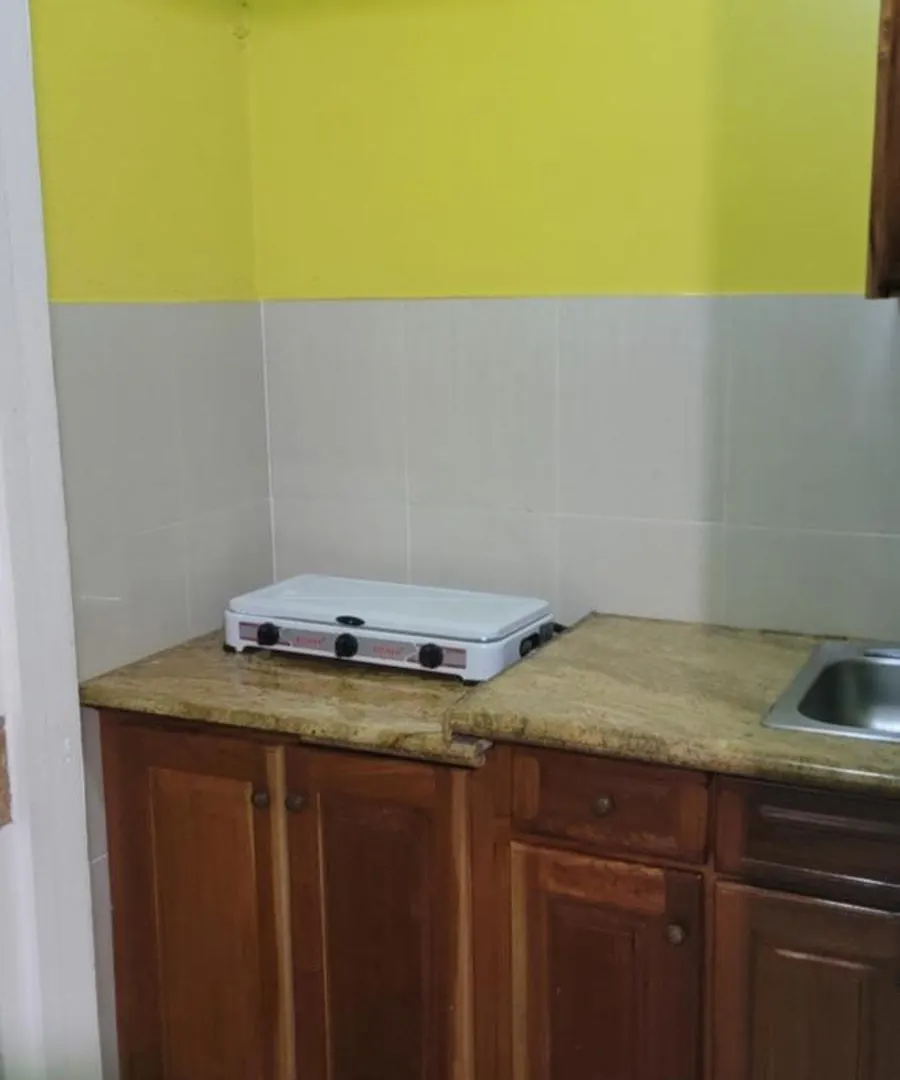 Wizzy Apartment White River Ocho Rios