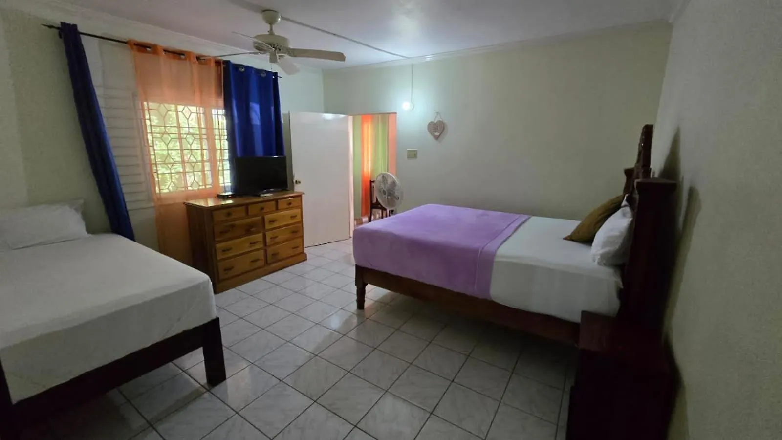 Wizzy Apartment White River Ocho Rios