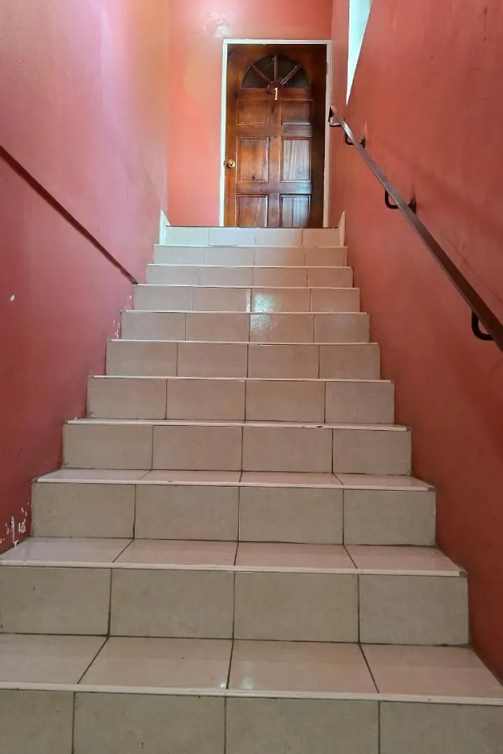 Wizzy Apartment White River Ocho Rios