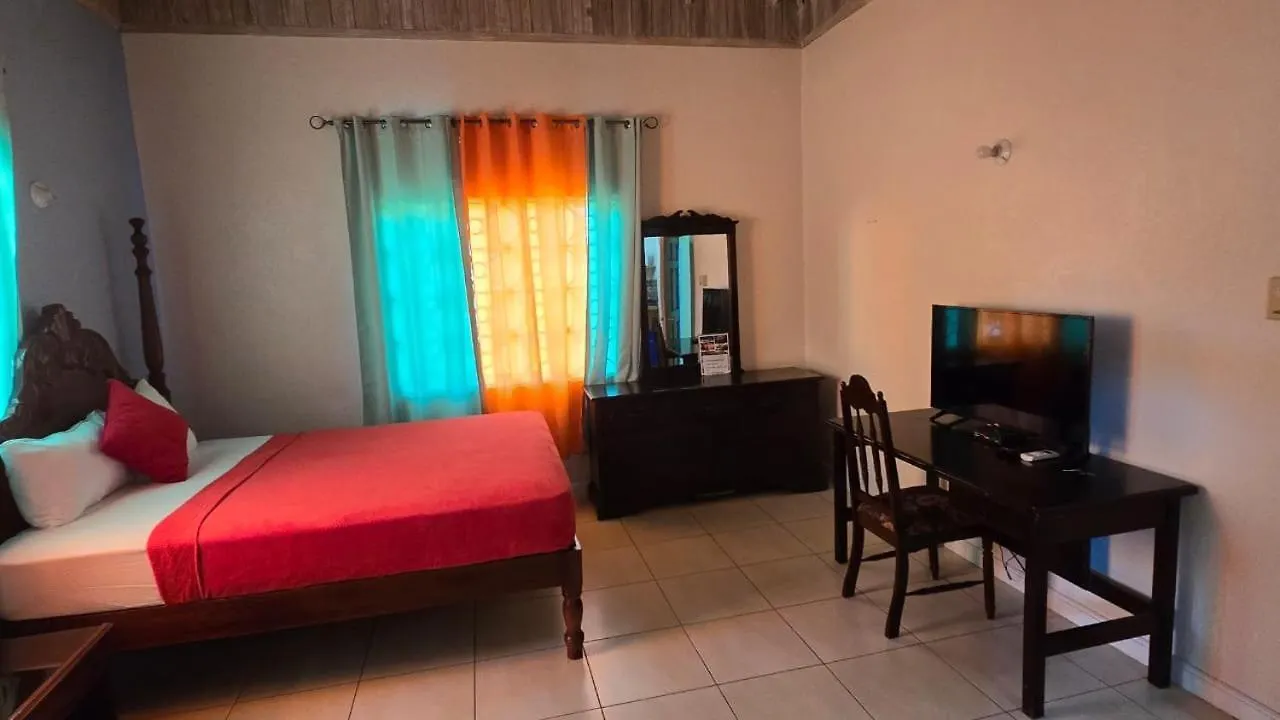 Wizzy Apartment White River Ocho Rios 0*,