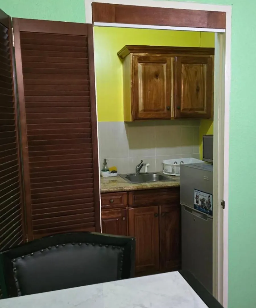 Wizzy Apartment White River Ocho Rios