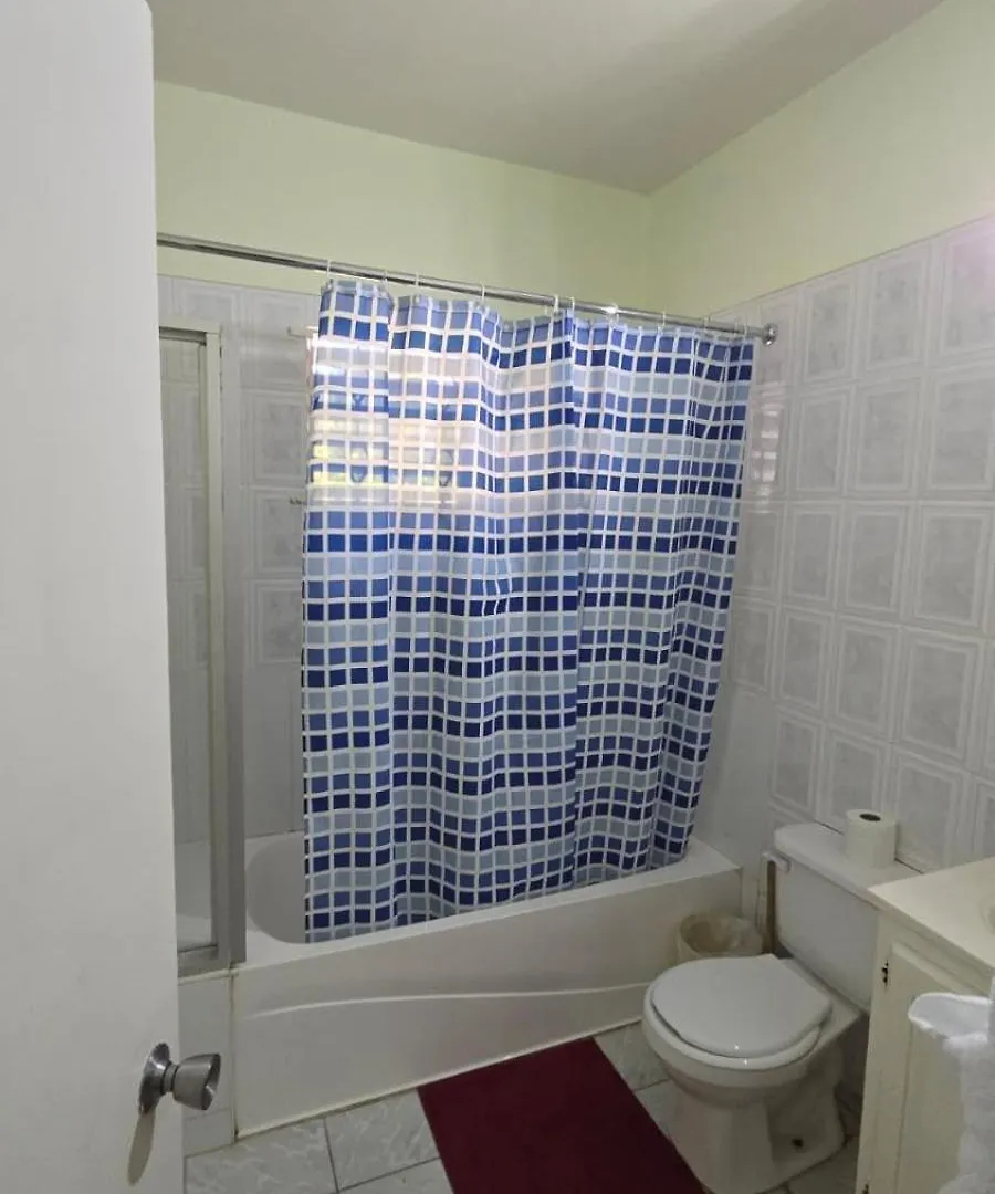 Wizzy Apartment White River Ocho Rios