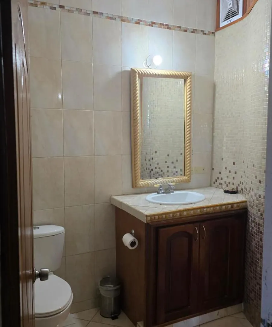 Wizzy Apartment White River Ocho Rios