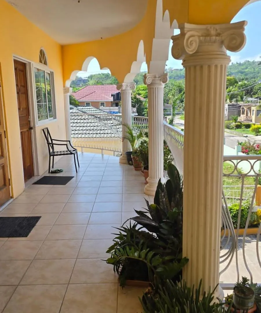 Wizzy Apartment White River Ocho Rios