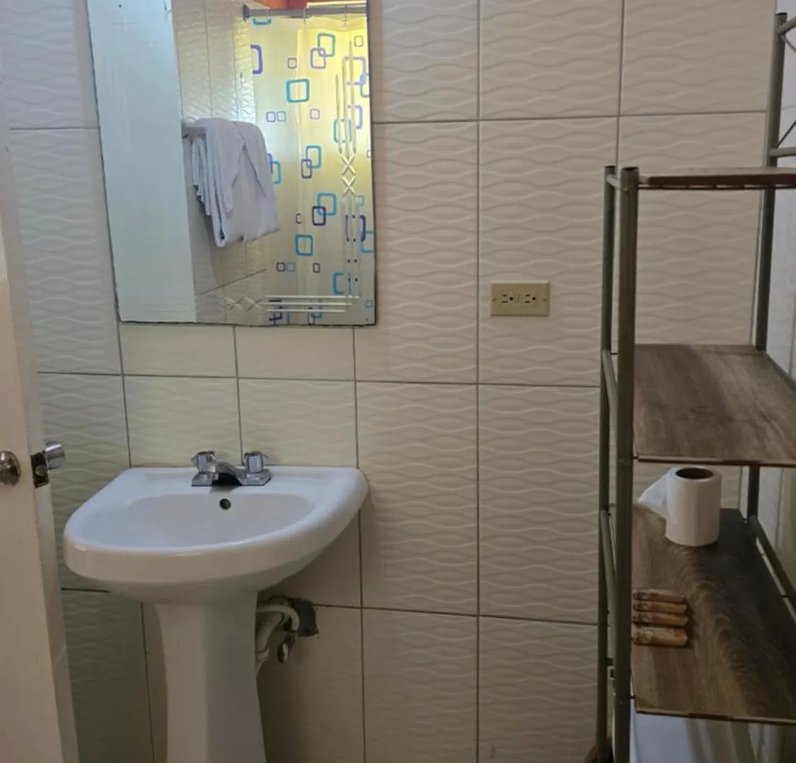 Wizzy Apartment White River Ocho Rios