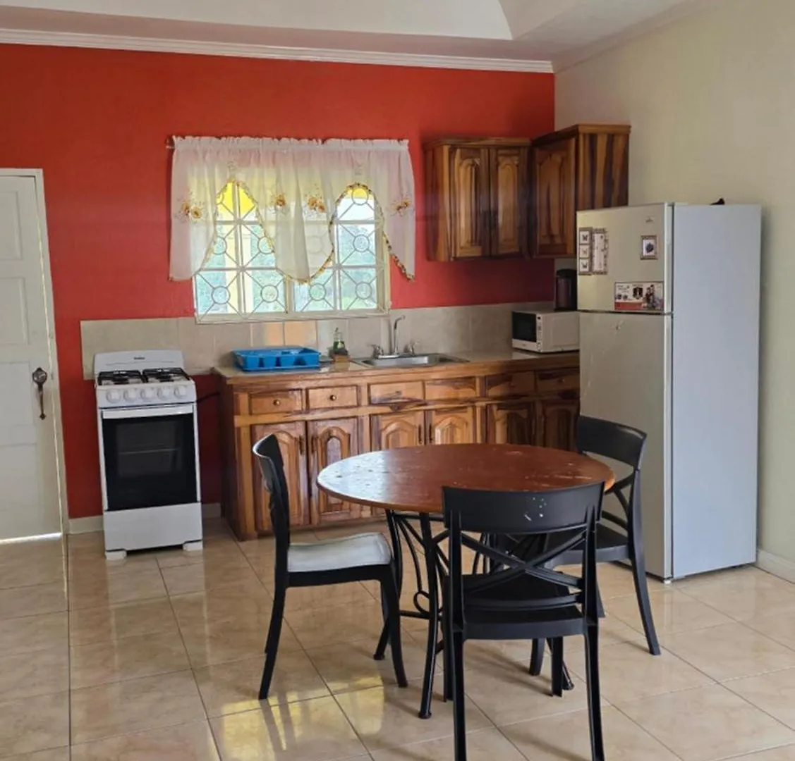 Wizzy Apartment White River Ocho Rios 0*,  Jamaica