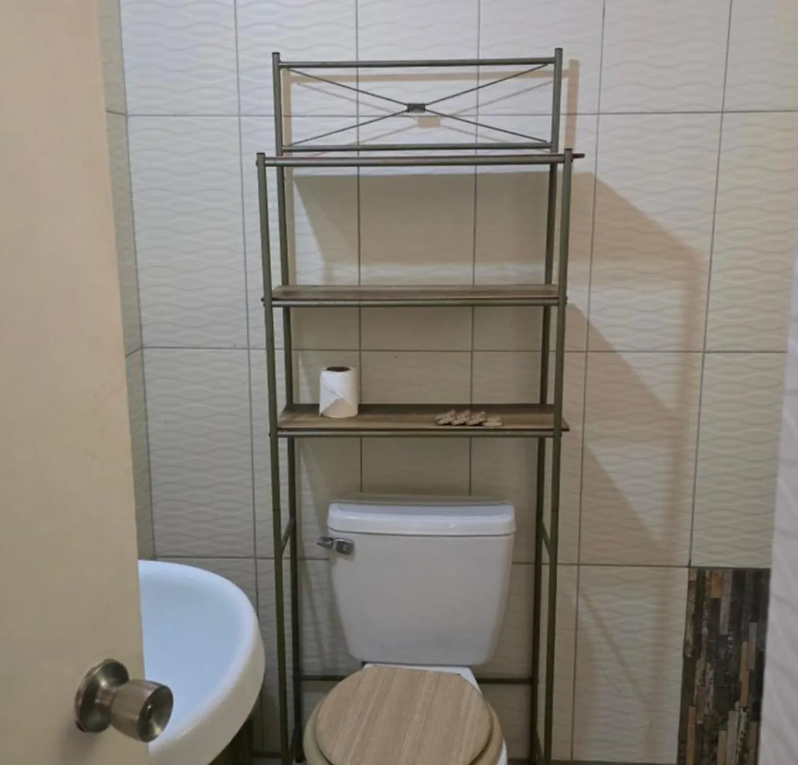 Wizzy Apartment White River Ocho Rios