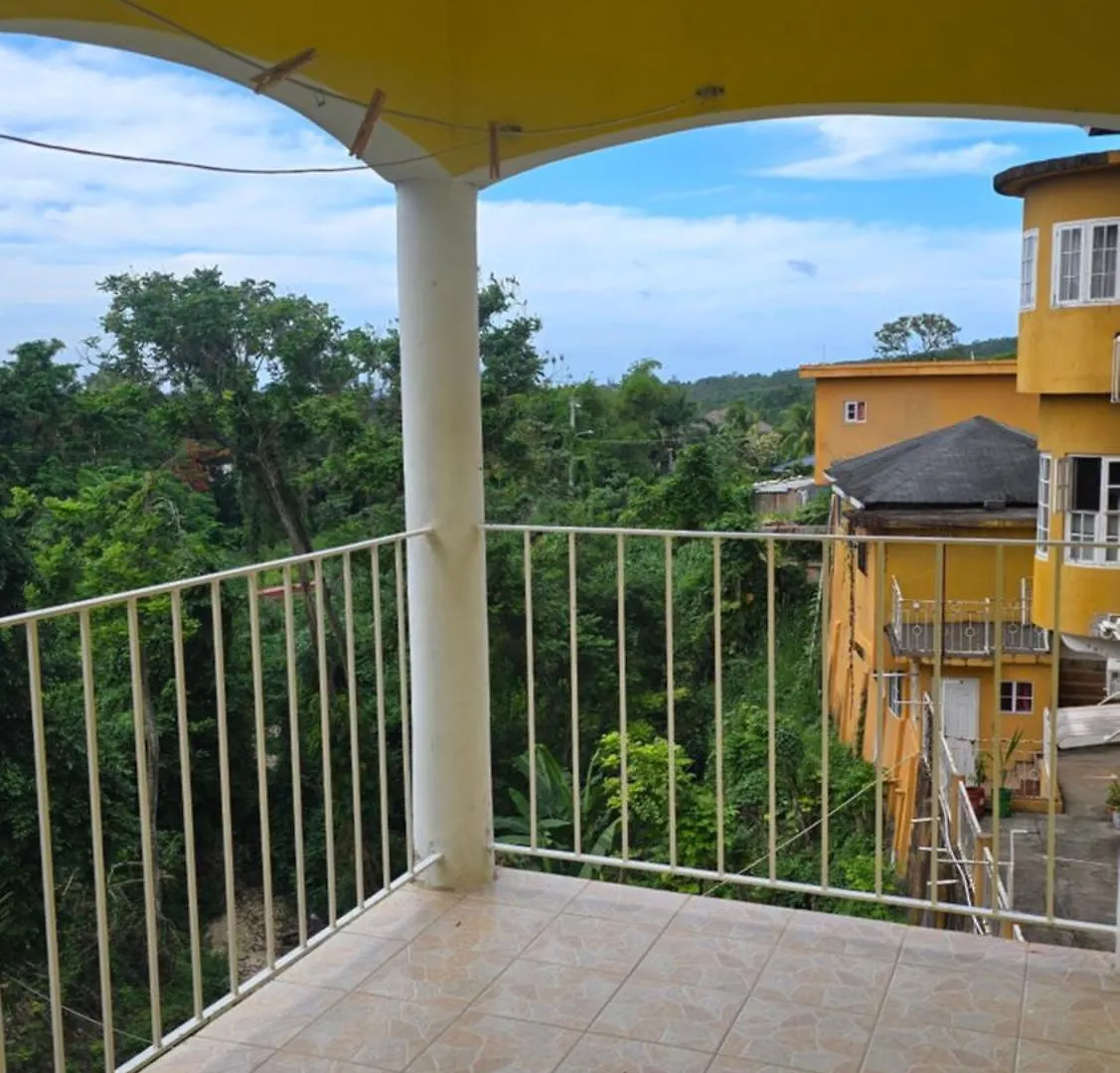 Wizzy Apartment White River Ocho Rios