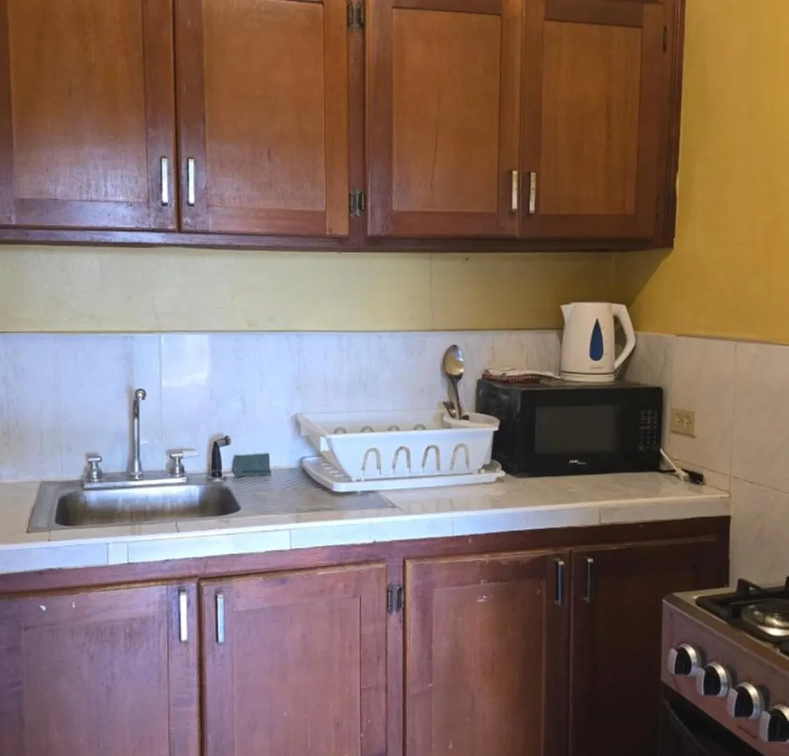 Wizzy Apartment White River Ocho Rios