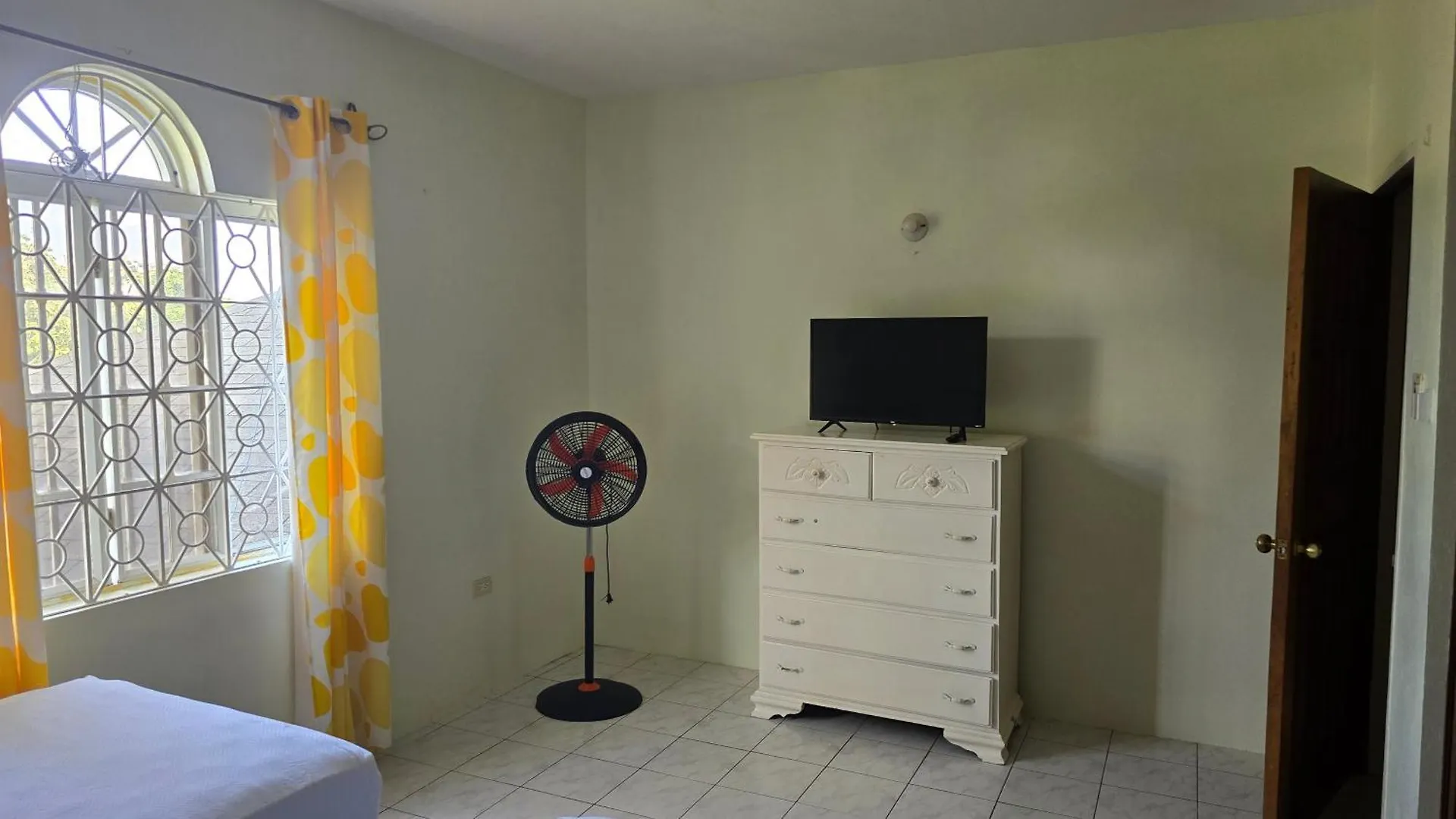 Wizzy Apartment White River Ocho Rios