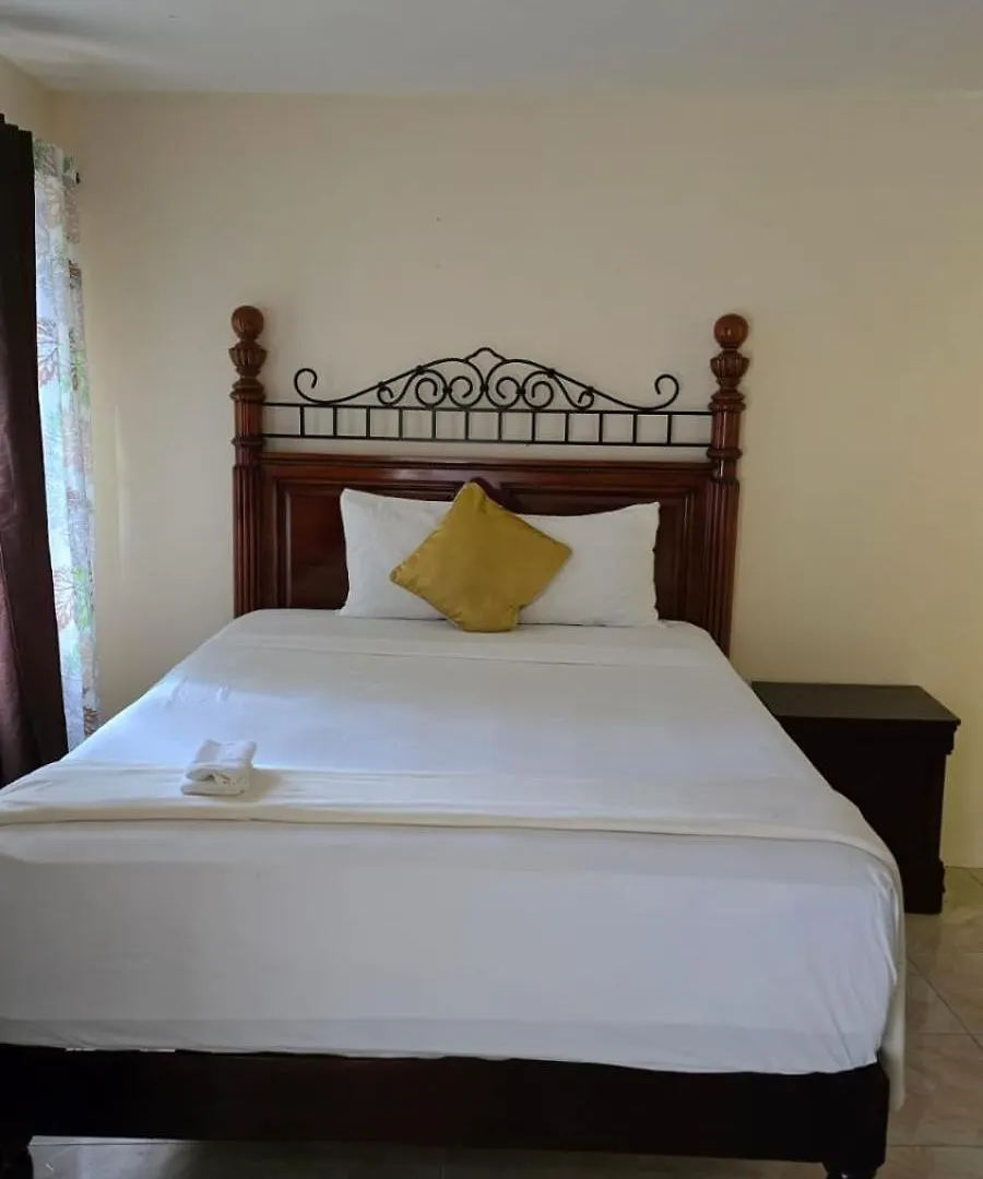 Wizzy Apartment White River Ocho Rios