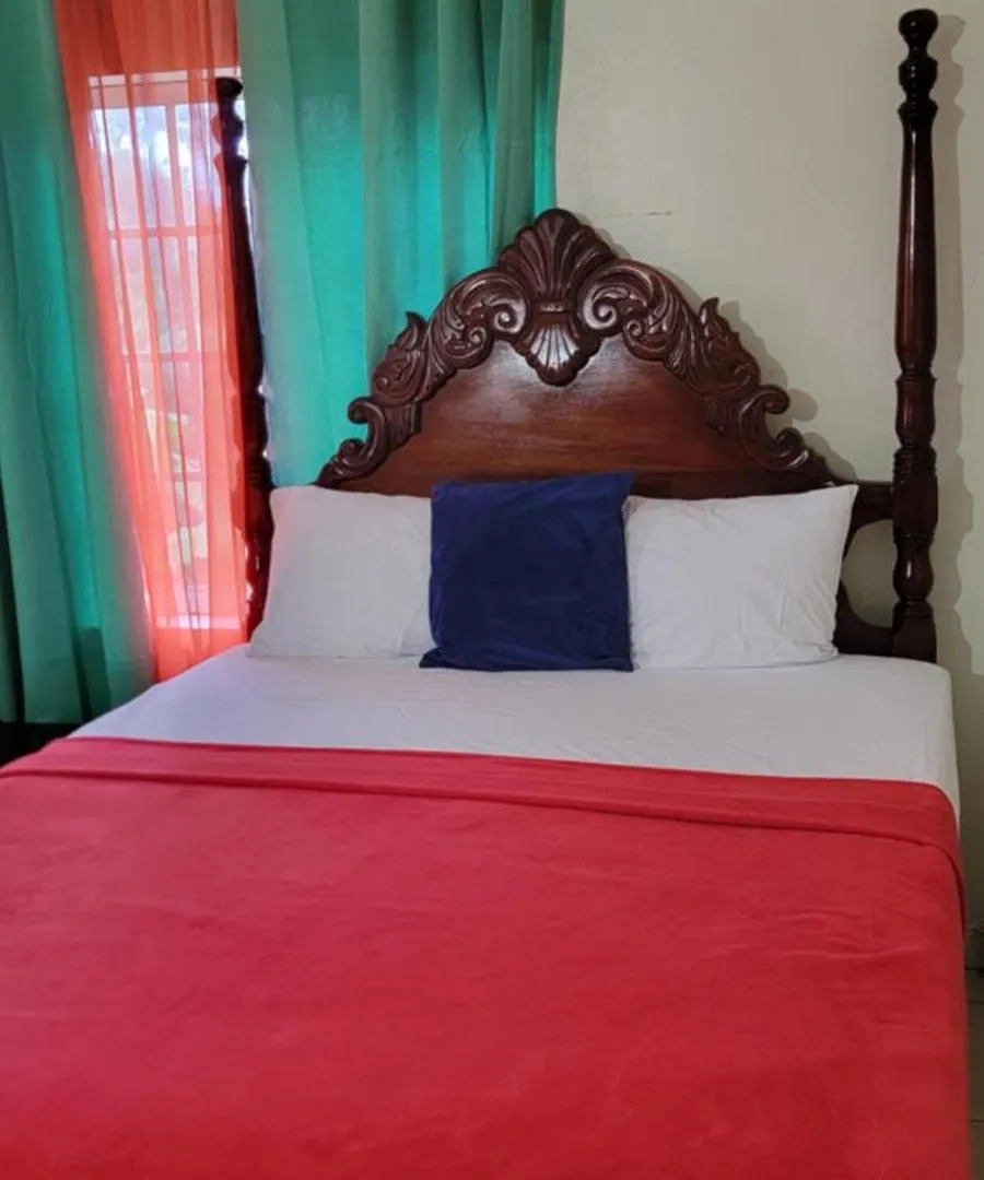 Wizzy Apartment White River Ocho Rios