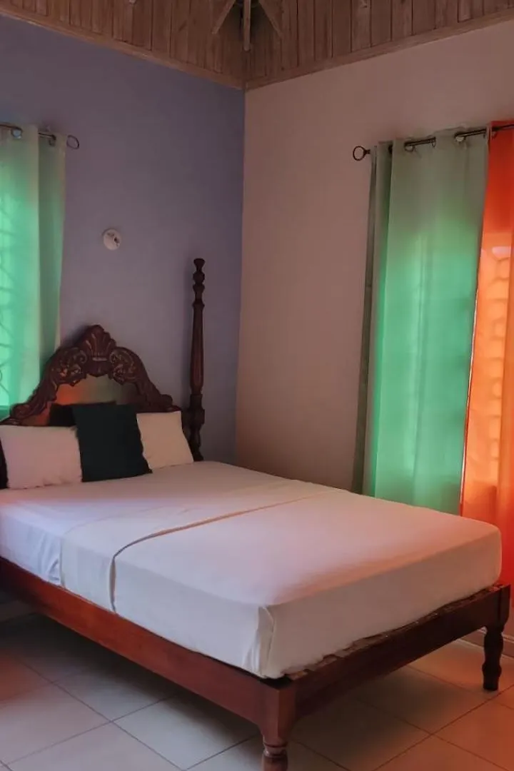 Wizzy Apartment White River Ocho Rios 0*,